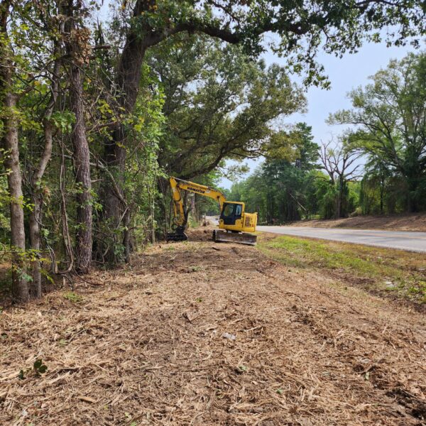 Road Line Pruning