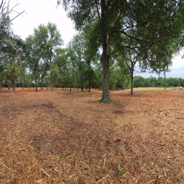 Property_clearing_maintenance Fire-Skid Services Land Clearing Project